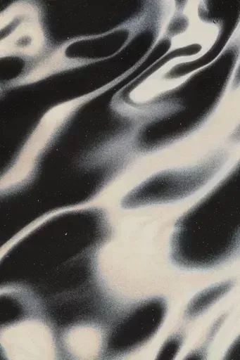 Dreamy Swirls: Abstract Art in Black, White, and Grey