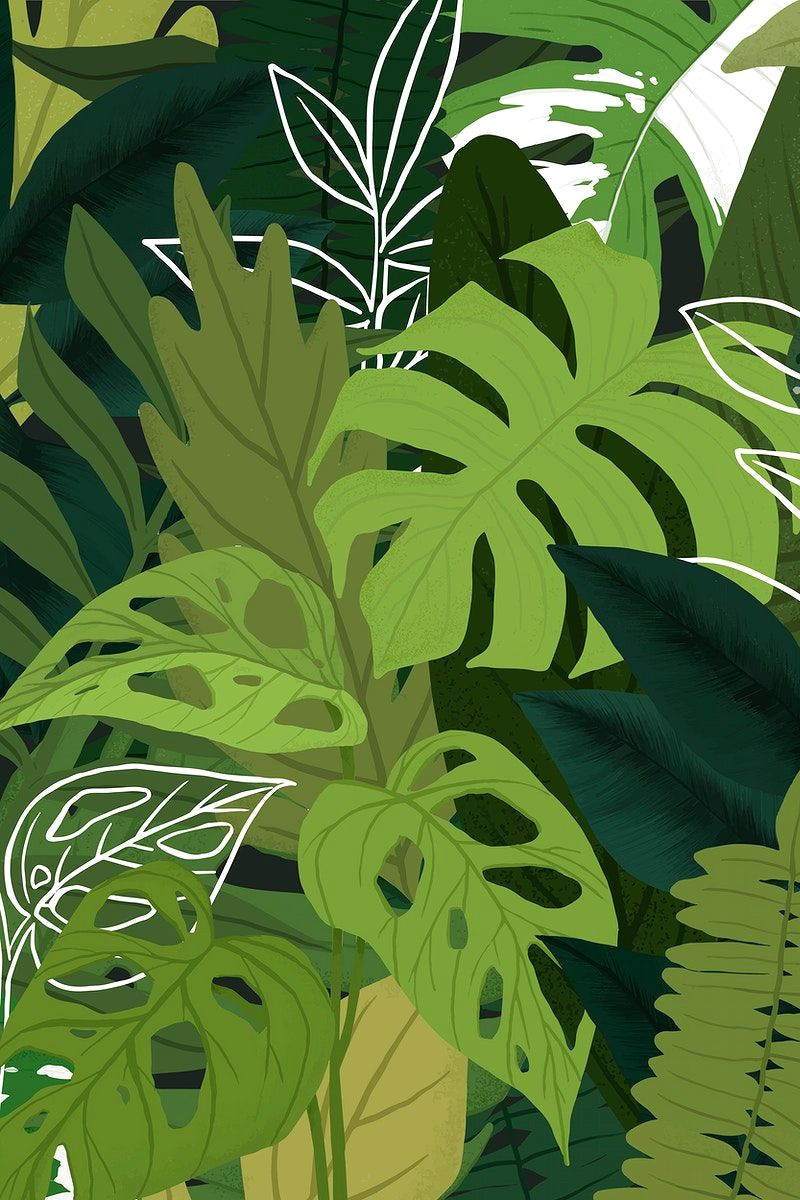 12 Jaw-Dropping Houseplant Backdrops for Your Next Aesthetic Design
