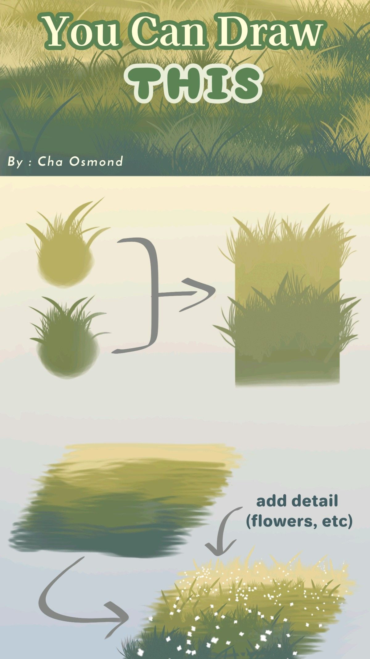 Grow a Lush Lawn in 5 Easy Steps