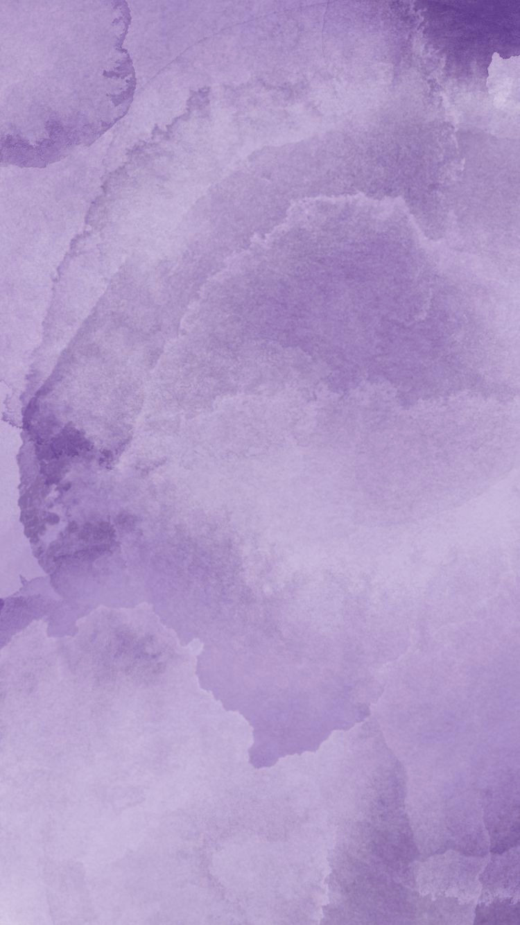 Blooming Beauty: 30 Stunning Viola Variations