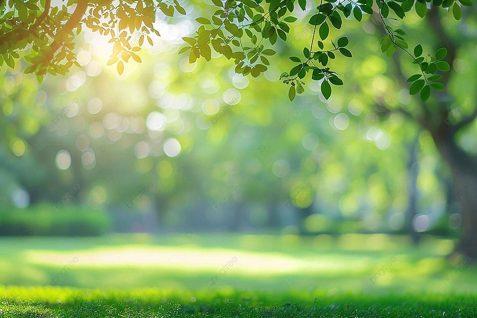 Blending Beauty: FREE Ethereal Park Backgrounds