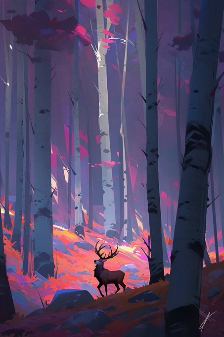 Meet Morowo, the Mysterious X Personality