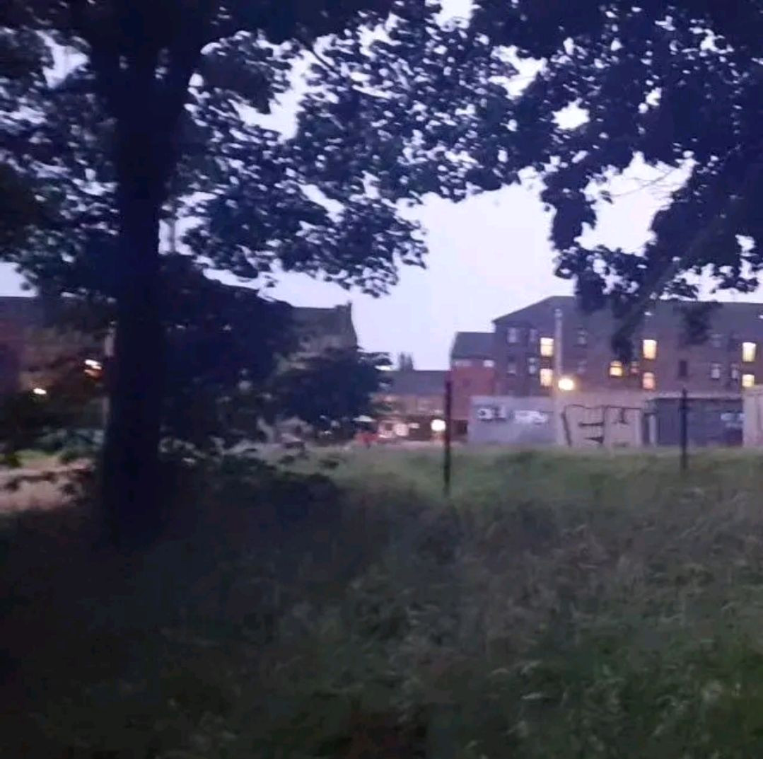 35mm Magic: Film Photography Essentials