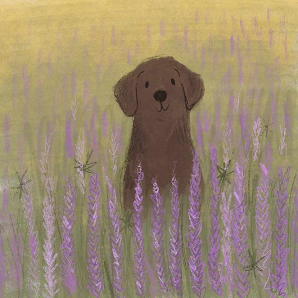 Elevate Your Space with 5 Simple yet Stunning Painting Ideas