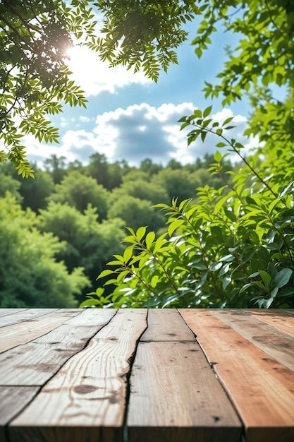 Idyllic Woodland Oasis