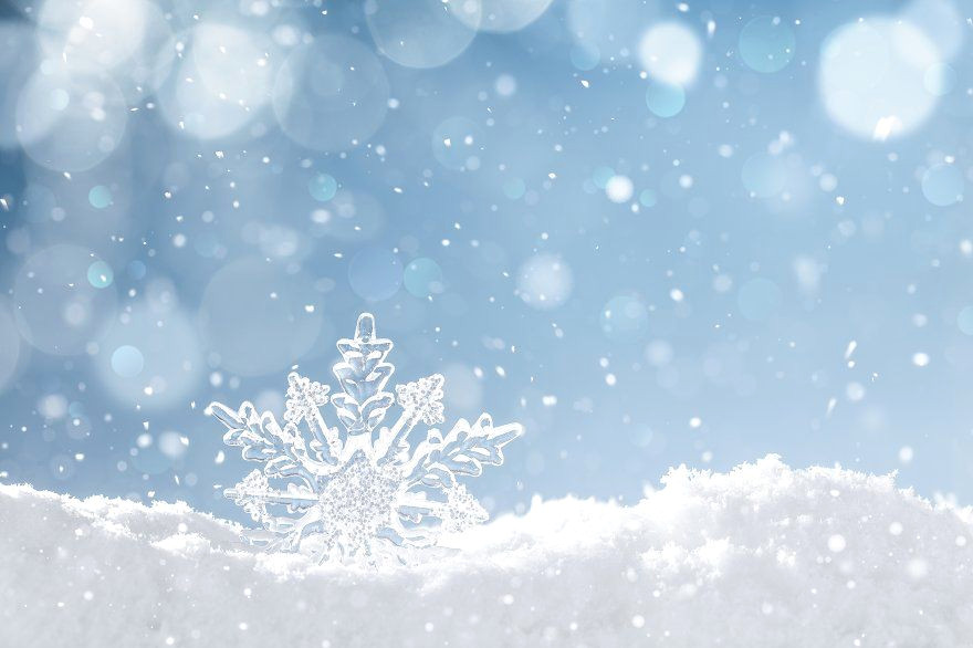 Frosty Magic: Winter Wonderland Background