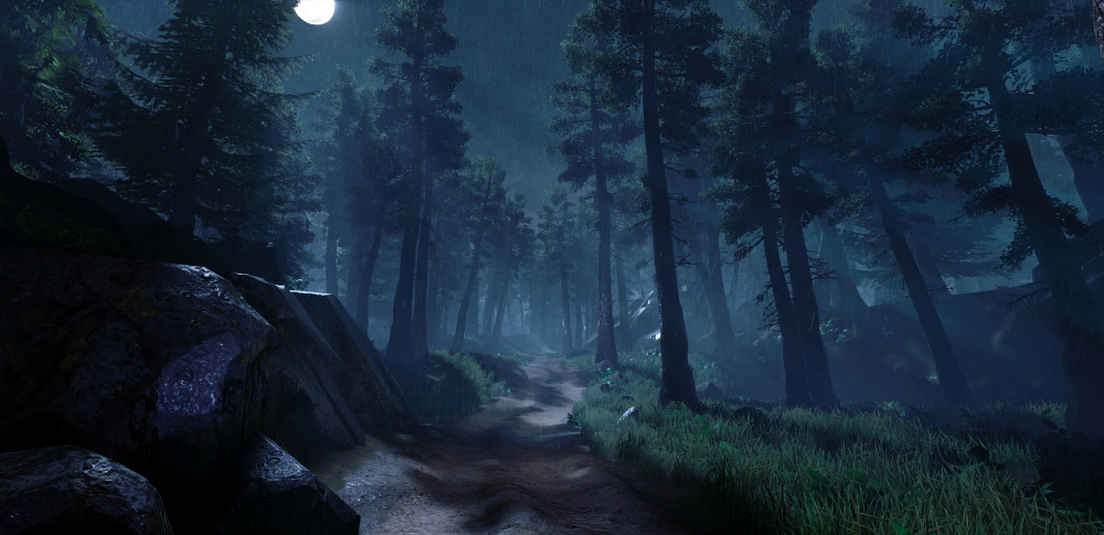 Escape into the Dark Magic: Night Forest Adventures