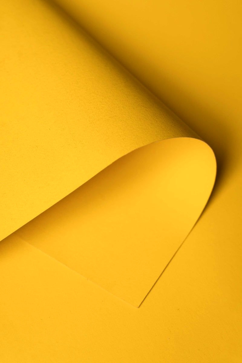 Seamless Sunshine Background for Photography (53×33)