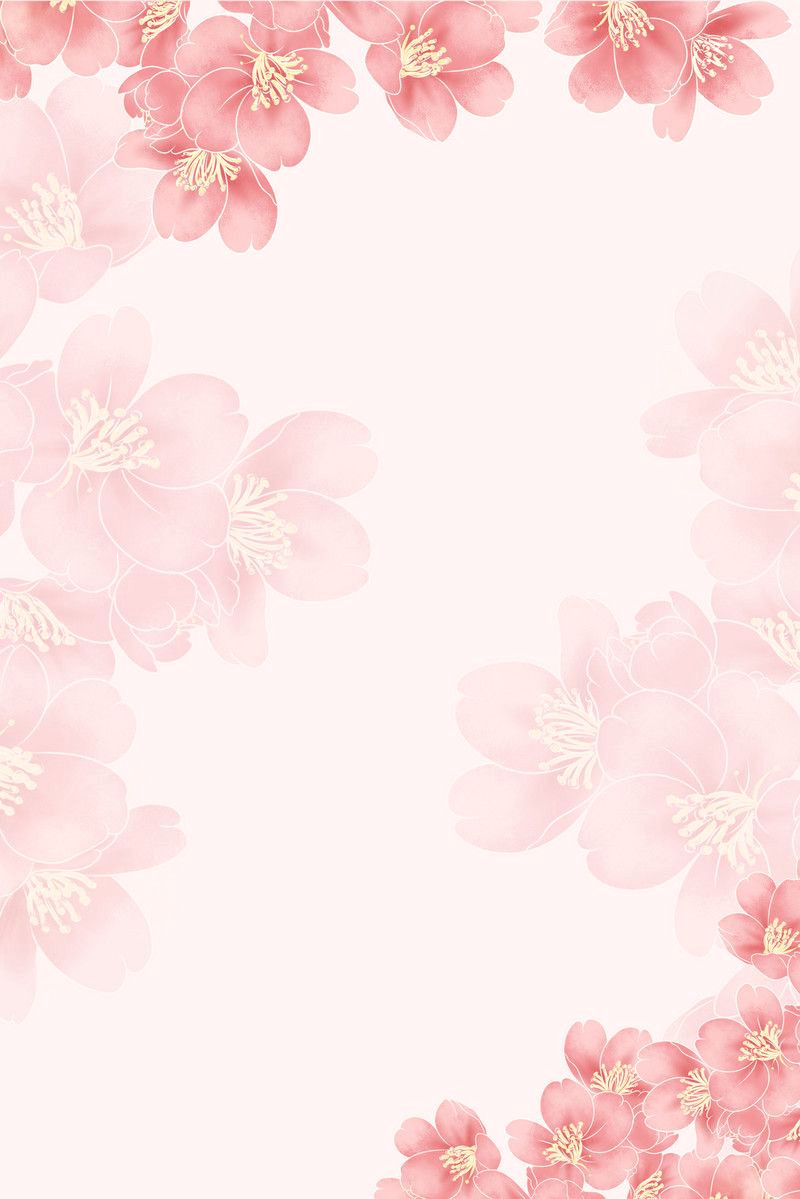 Free HD Spring Flower Backgrounds for Your Design