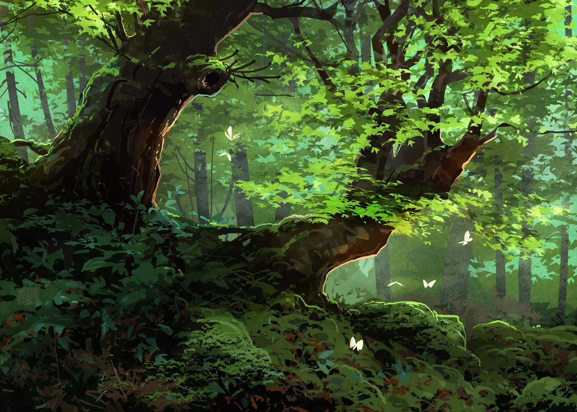 Dramatic Forest Landscapes