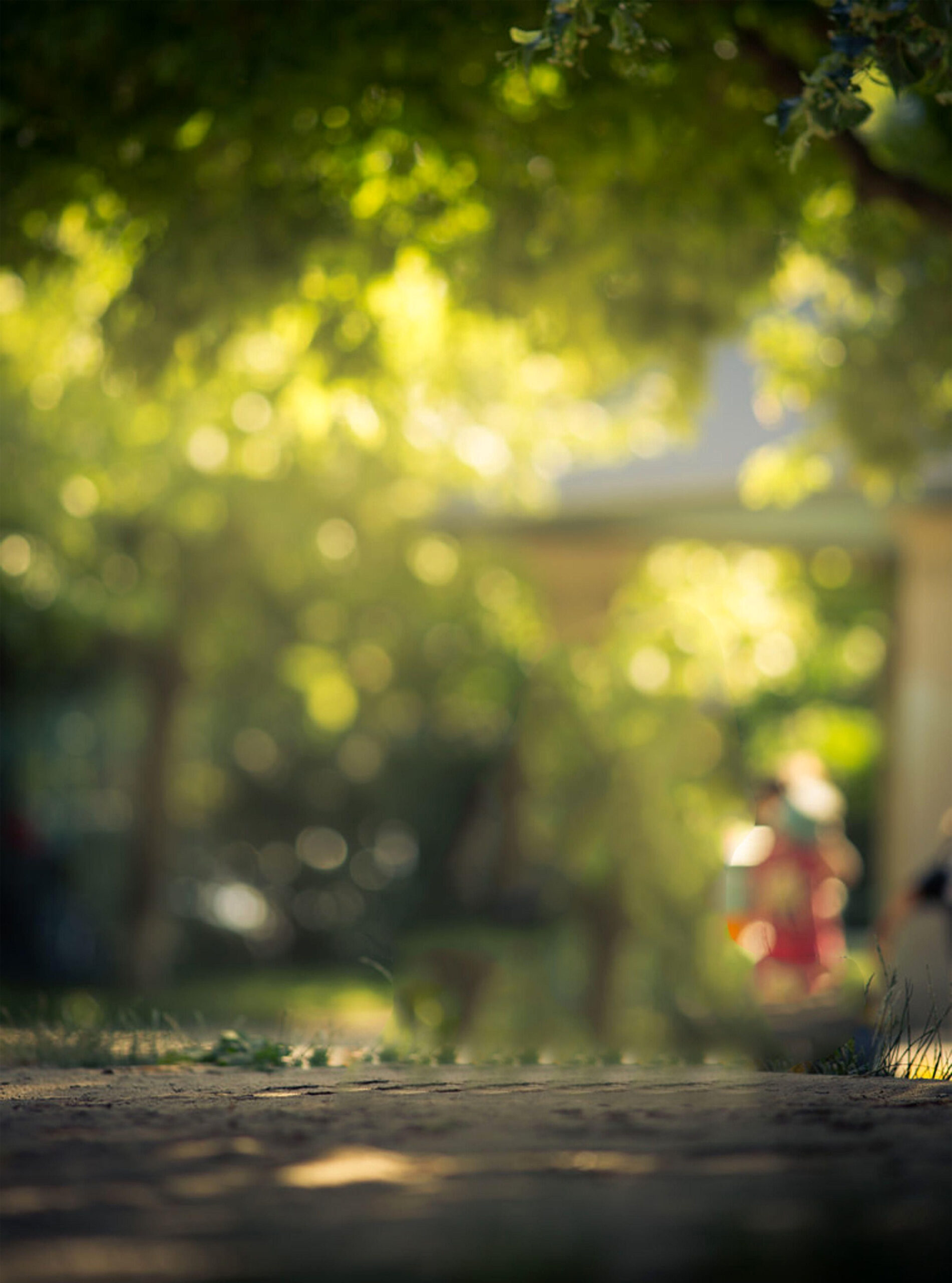 Transform Your Walls: Inspiring CB8 Wallpapers