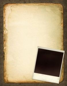 Find Free Stock Photos, Vectors, and Icons