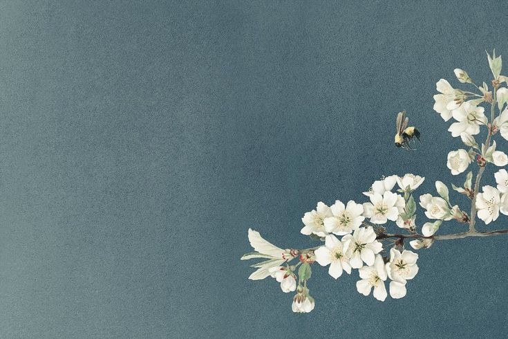 Plan Your Dream Wedding