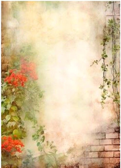 Cozy Up with the Ultimate Book Lover’s Background