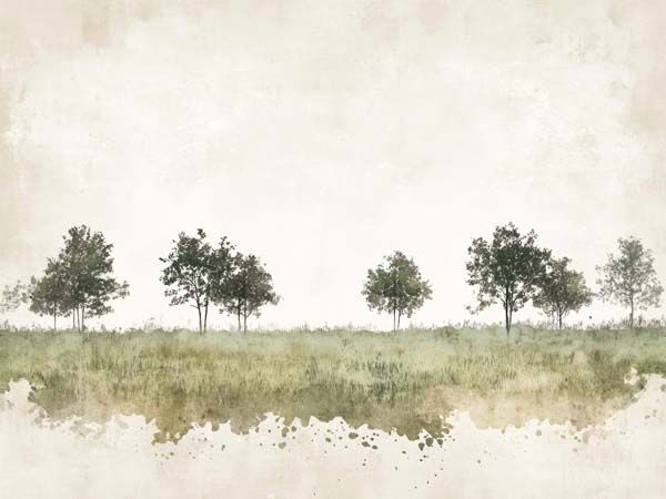 Transform Your Space with Rustic Woodland Elegance