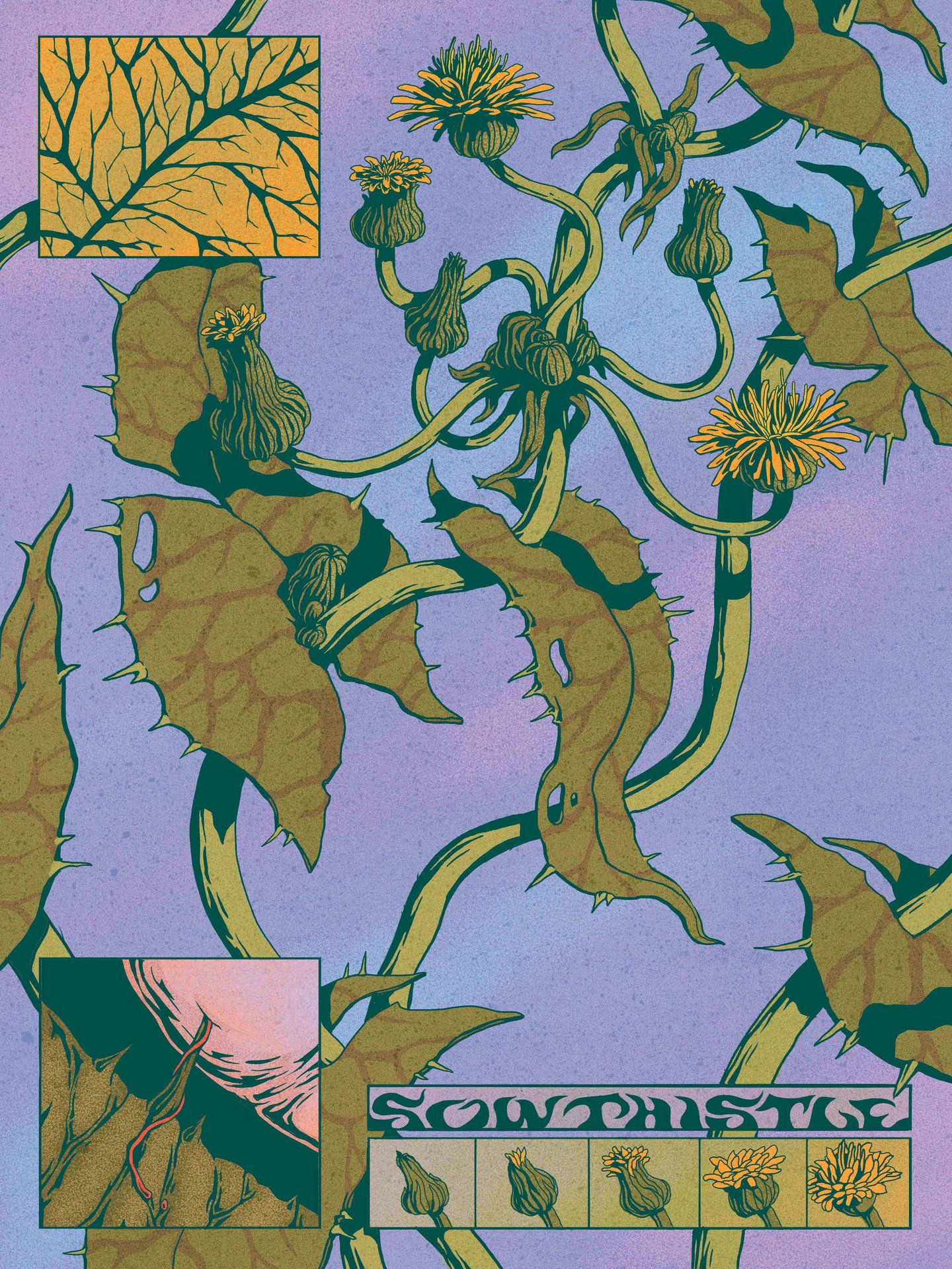 Vibrant Secrets in Every Line: The Whimsical Art of Micha Huigen