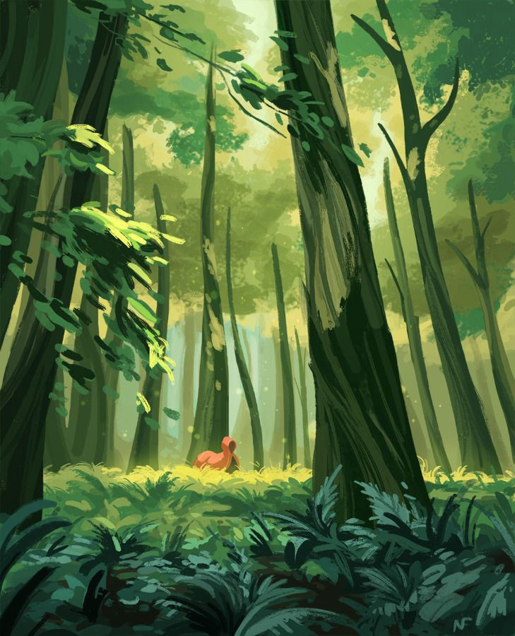 Your Ultimate Wardrobe Essential