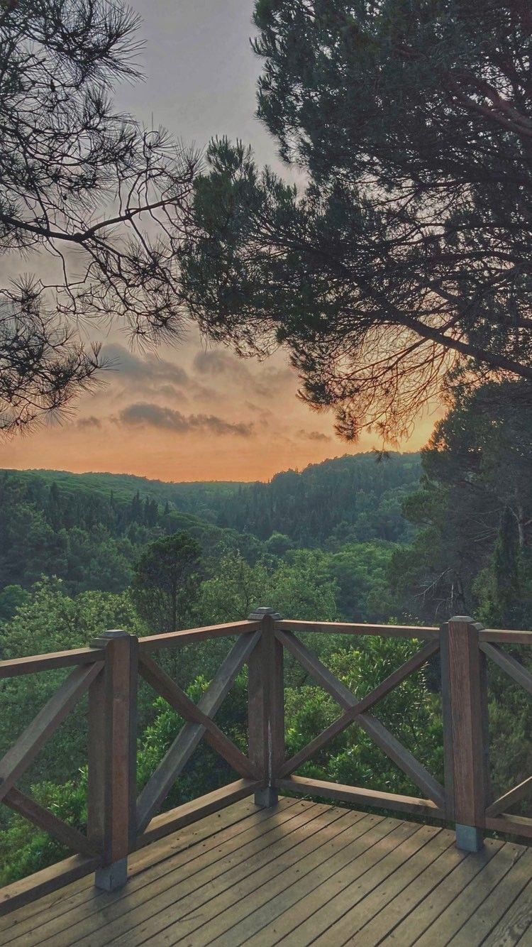 Nature’s Sanctuary