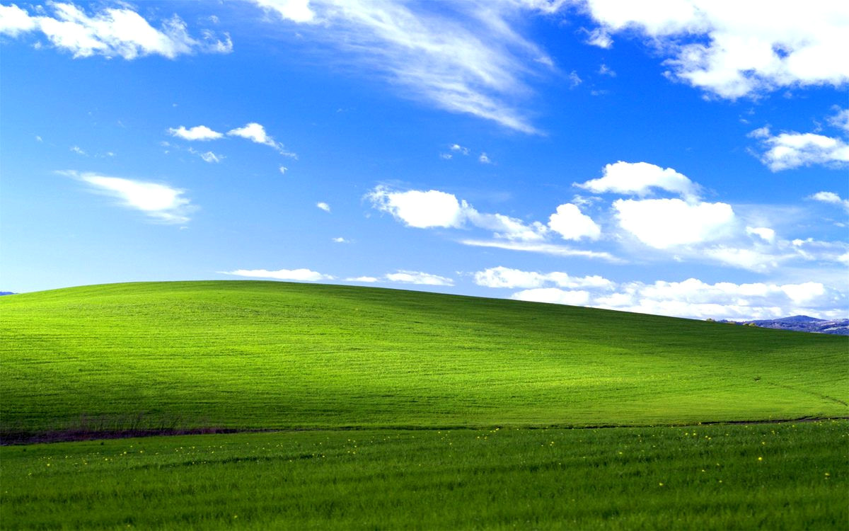 Uncover the Secret of Microsoft Windows XP’s Iconic Wallpaper