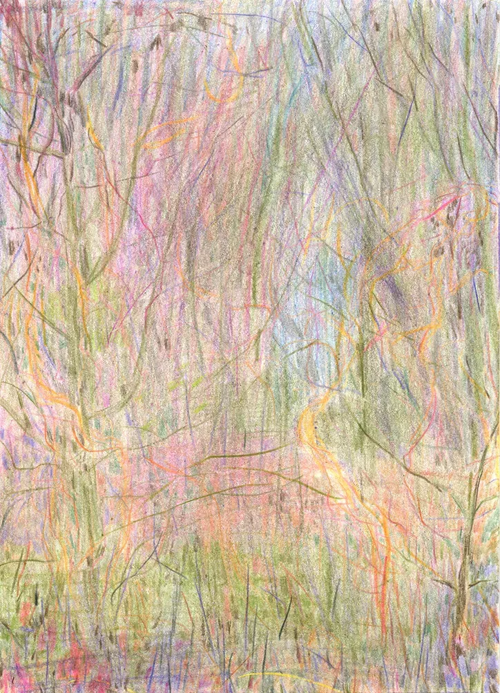 Illustrations Blurring Reality