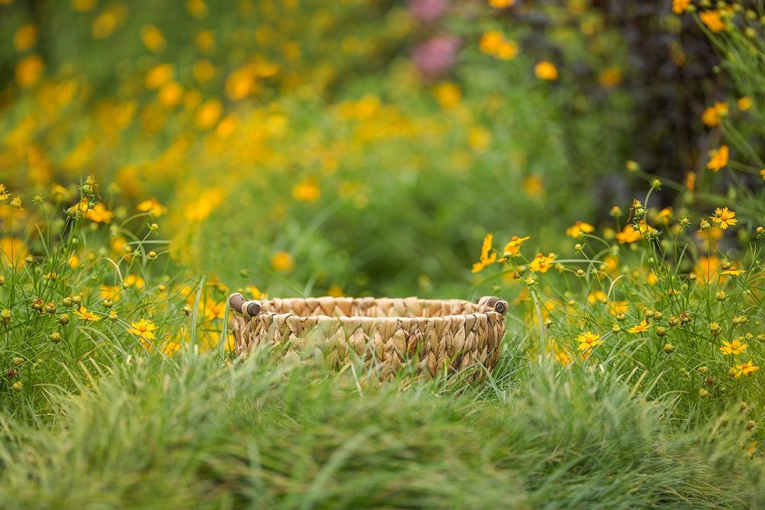 Dreamy Flower Field Backdrops for Photoshop