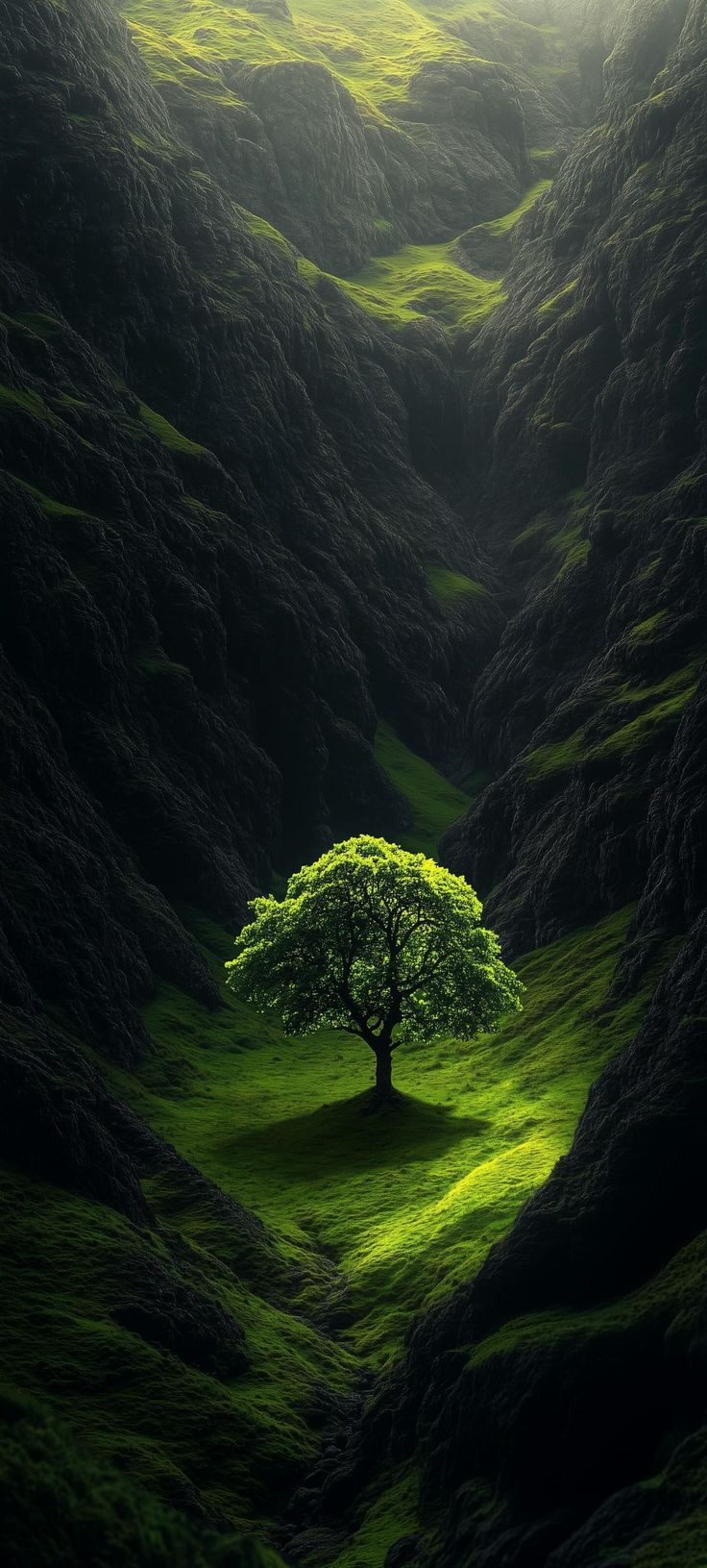 Bring Nature Indoors with Green Aesthetic Wallpapers