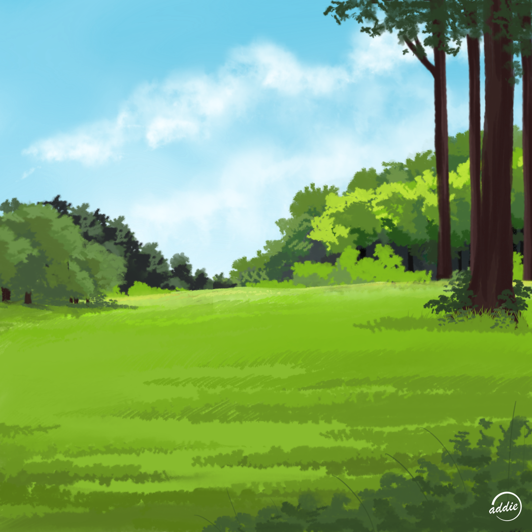 Enchanted Forest Landscapes