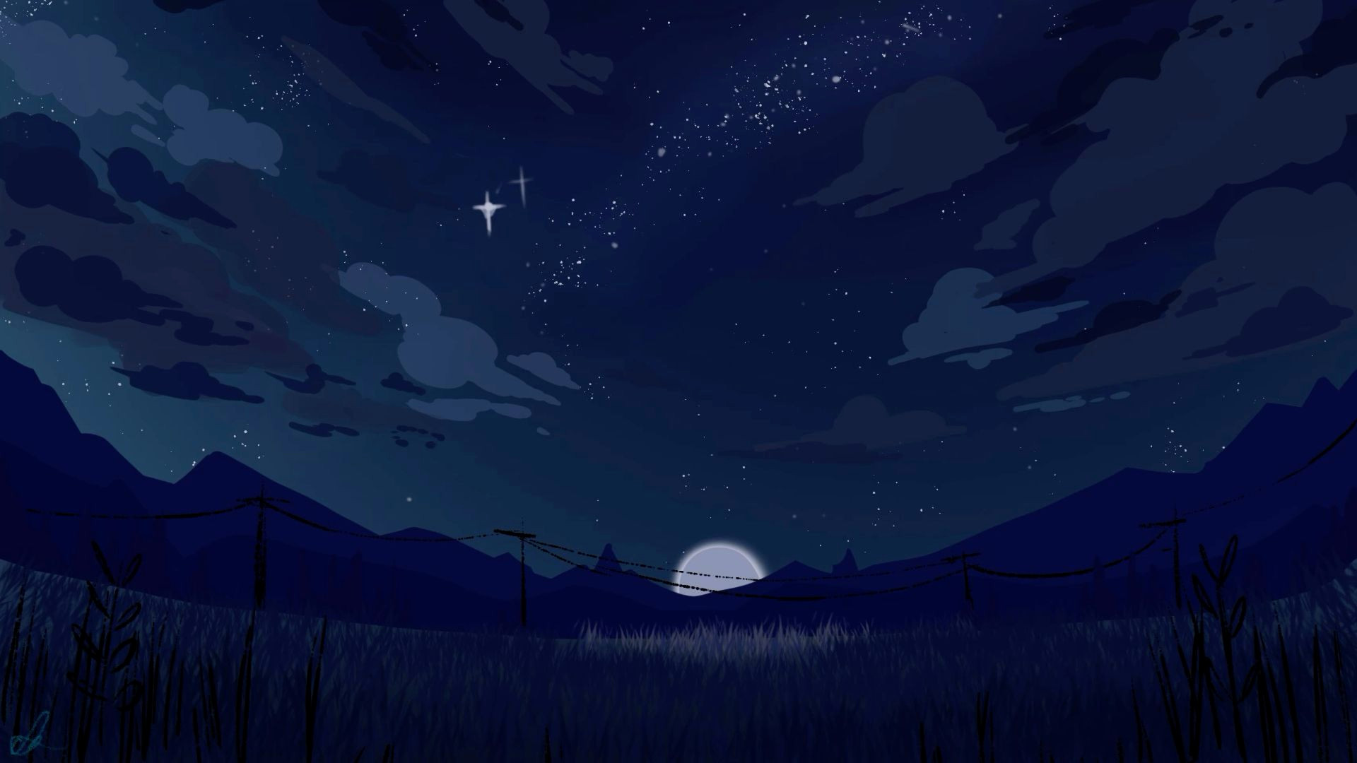 Under the Starry Sky