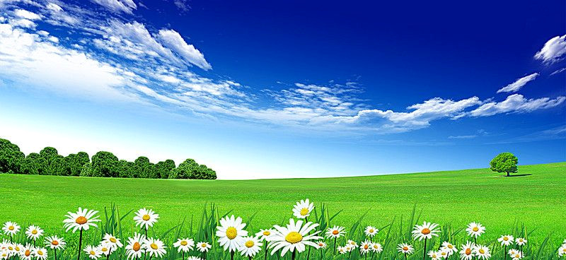 Lush Rural Landscapes: Free Nature Backgrounds