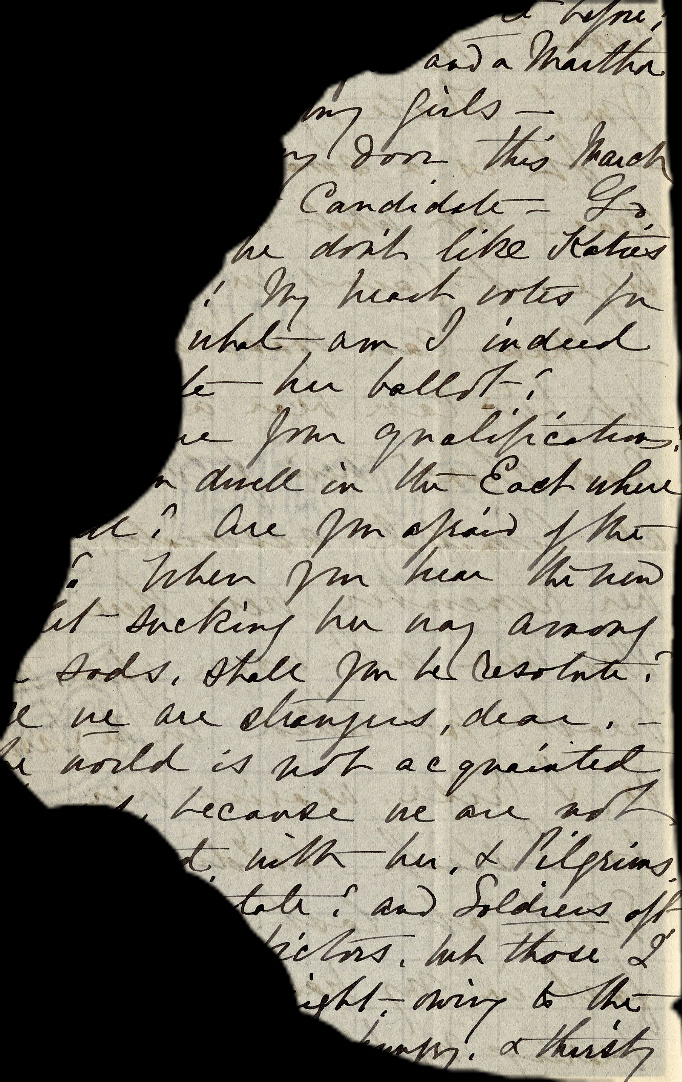 Uncovering a Rare Emily Dickinson Portrait