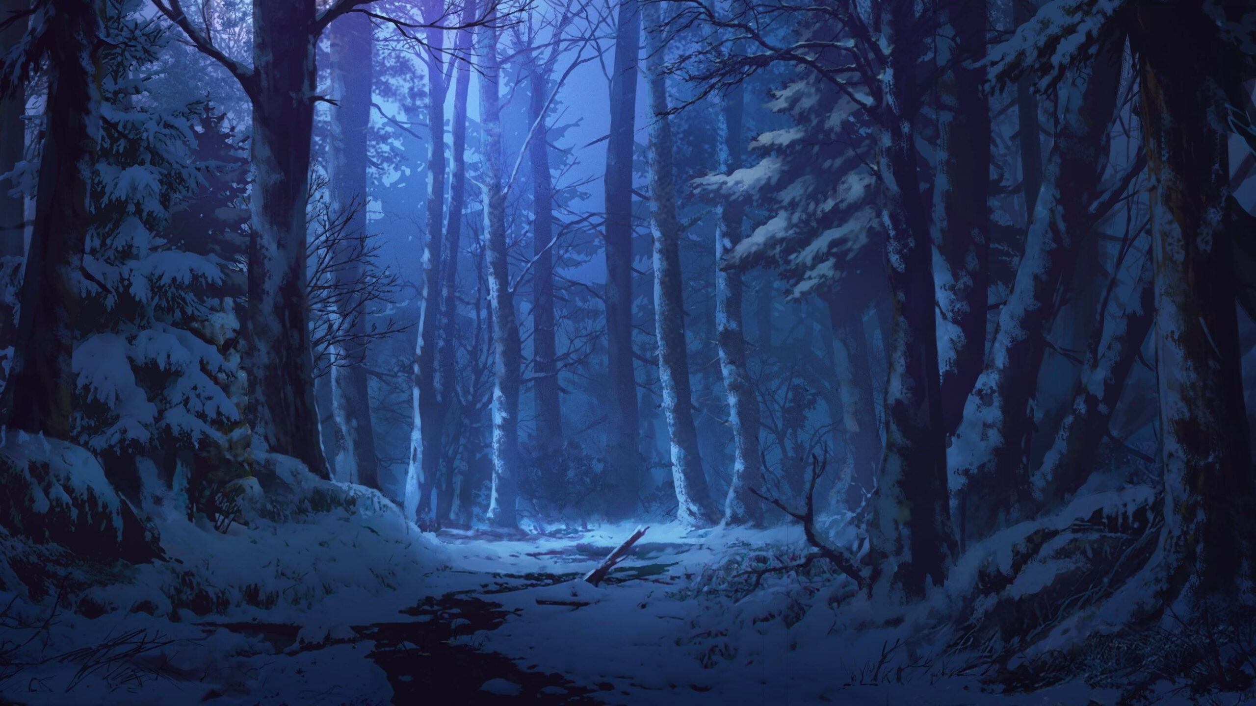 Winter Wonderlands: Breathtaking Snowy Forests