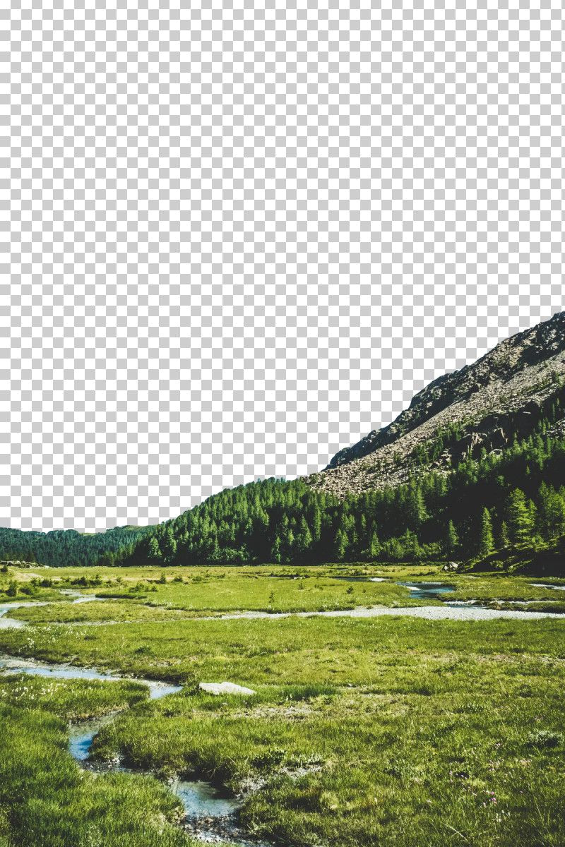 Unspoiled Wilderness: Exploring Scenic Water Ecosystems