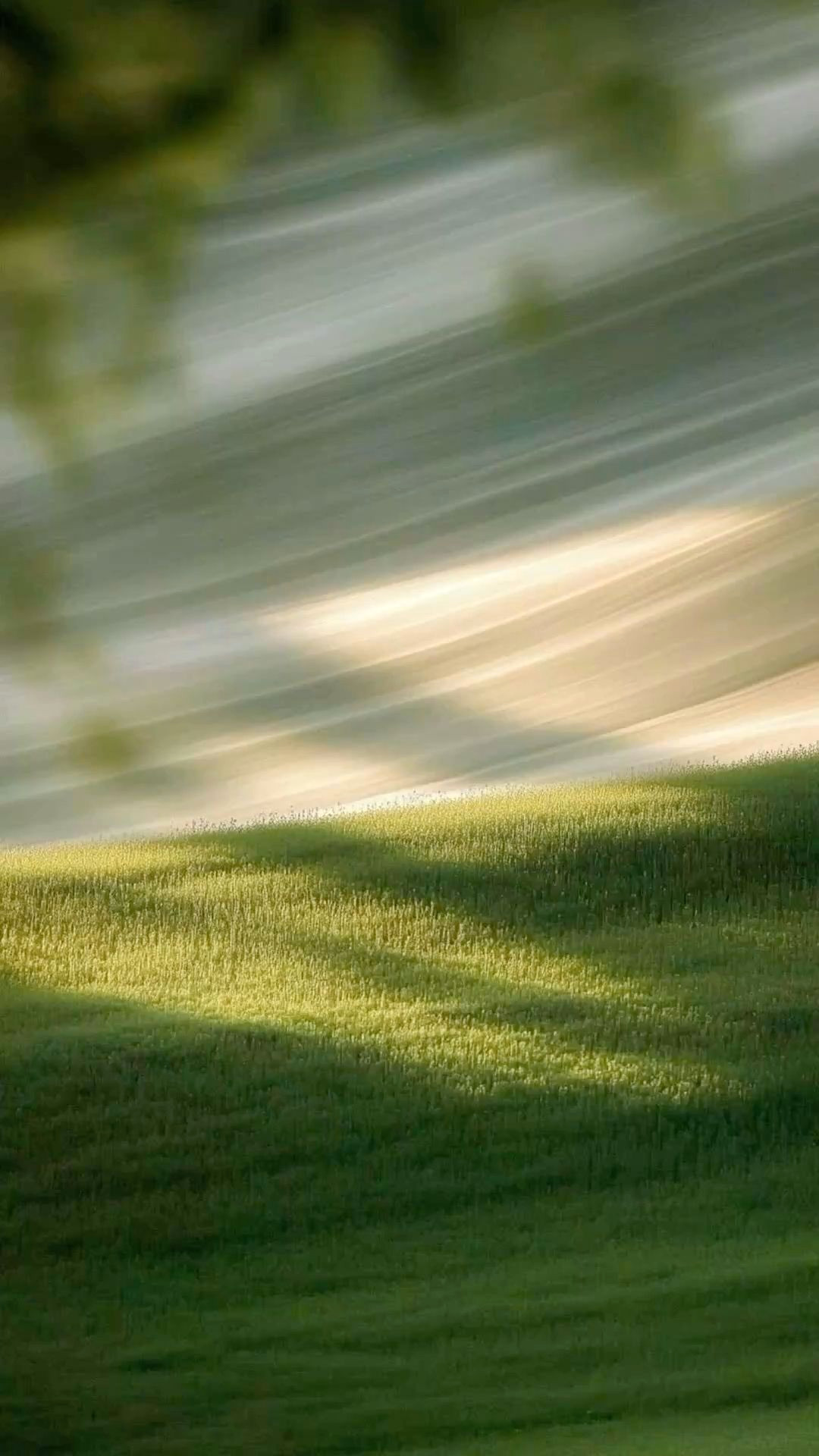 Unlock the Power of Observation