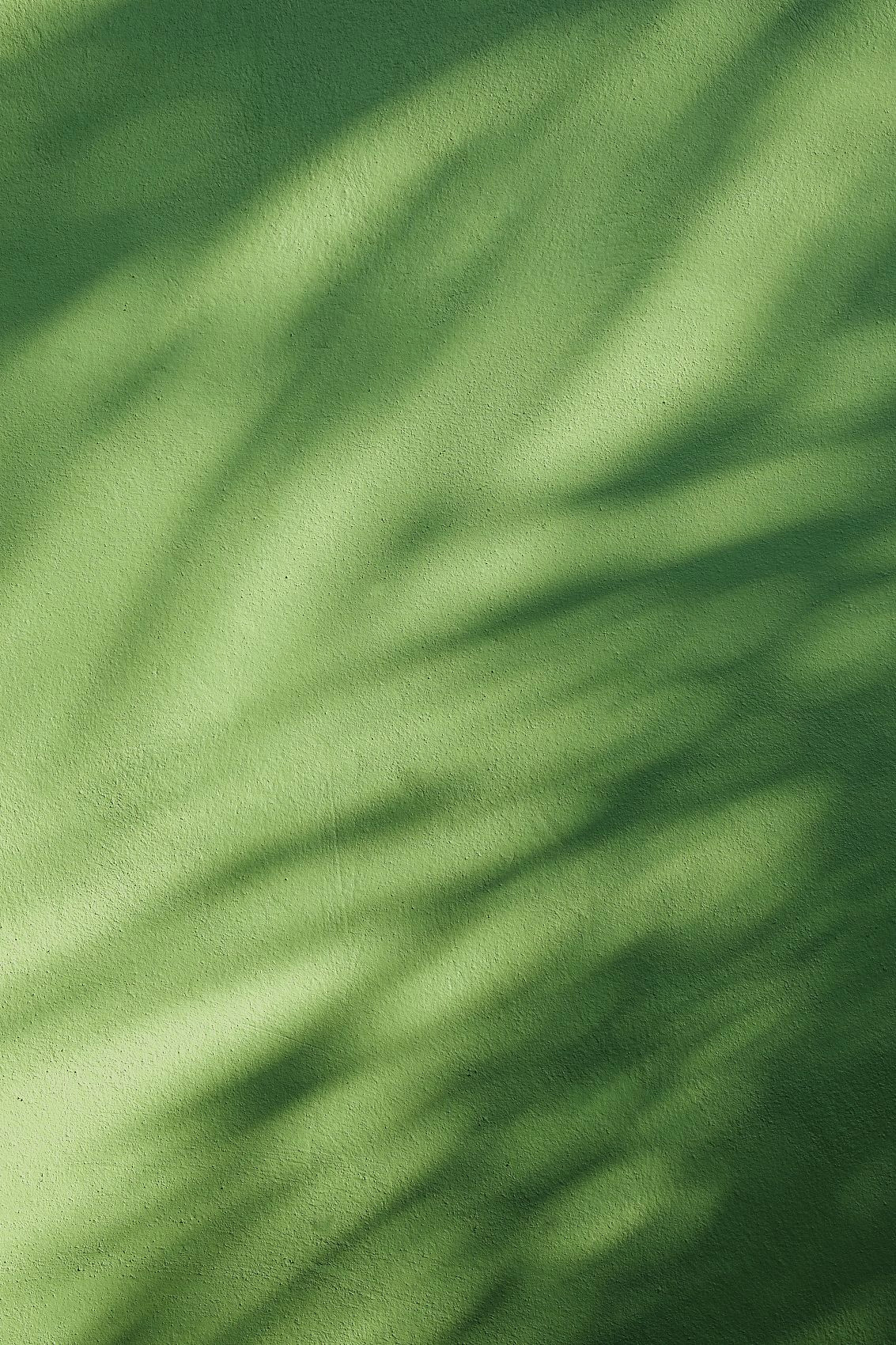 Breathtaking Nature Wallpaper Inspiration