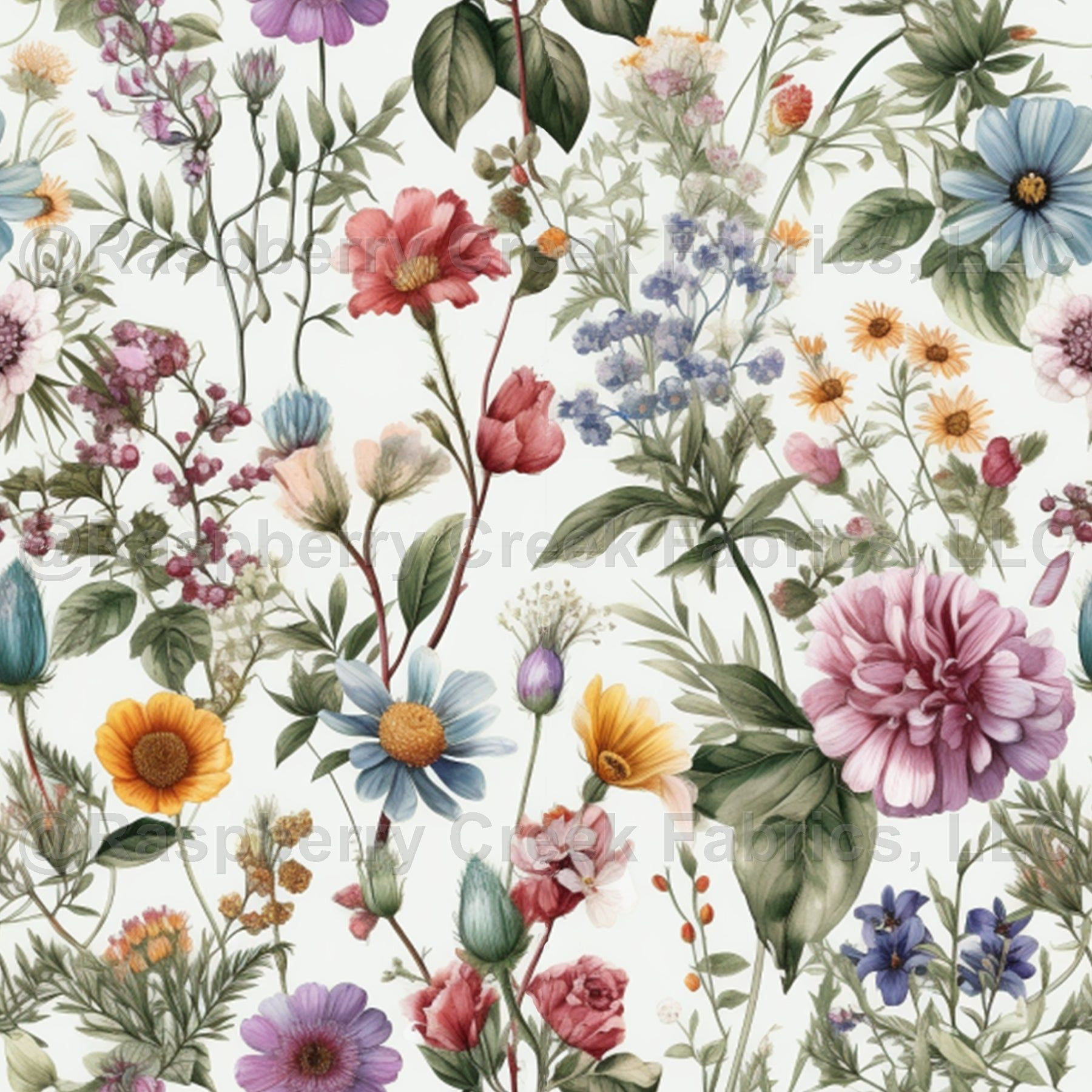 Dainty Wildflowers Blooming in Pure White