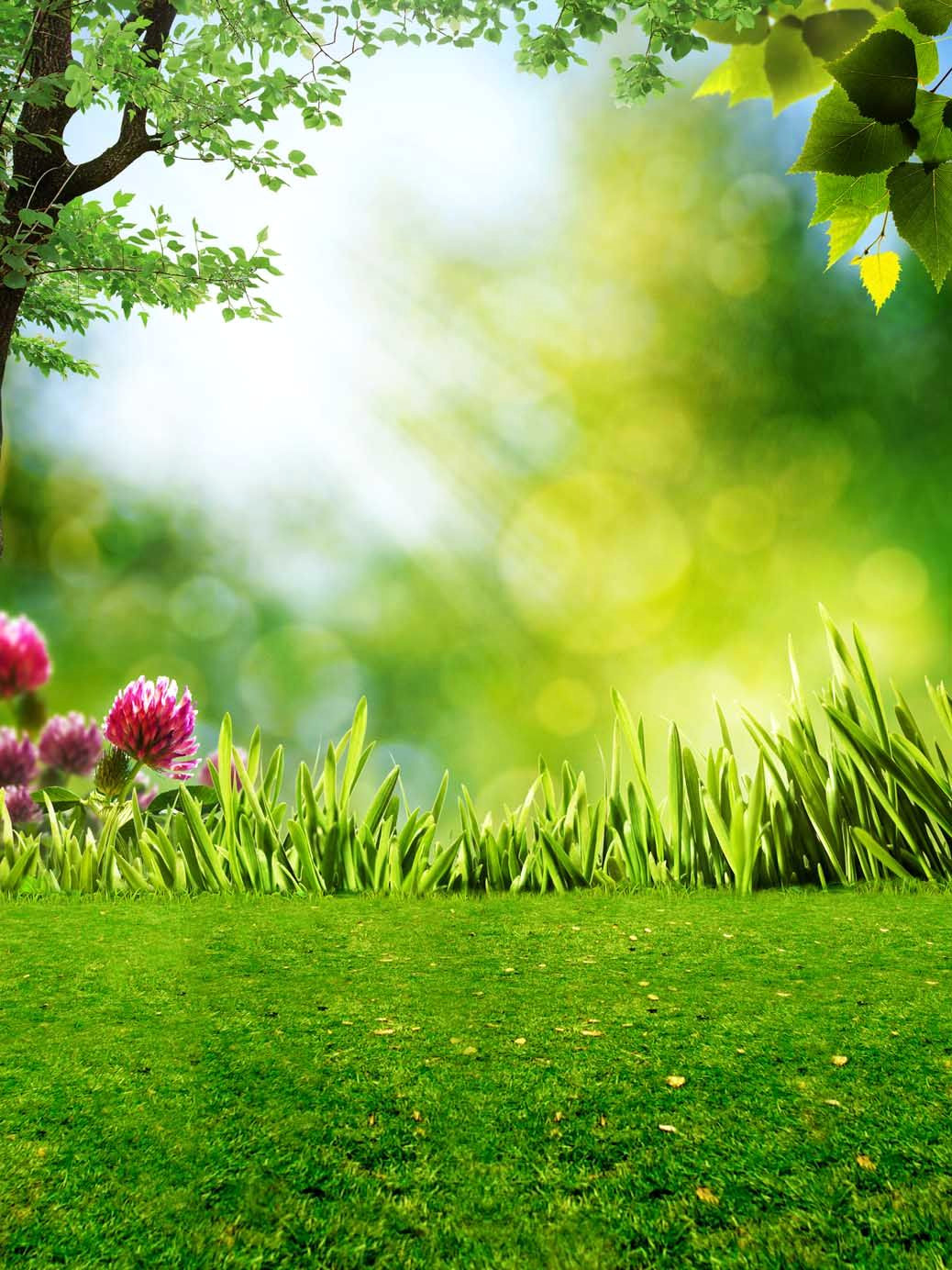 Spring Mini Photo Shoot Backdrops to Brighten Up Your Home