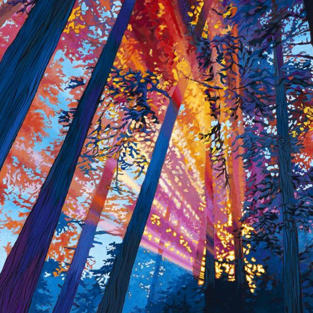 Shine a Light on this Morning Wood Puzzle