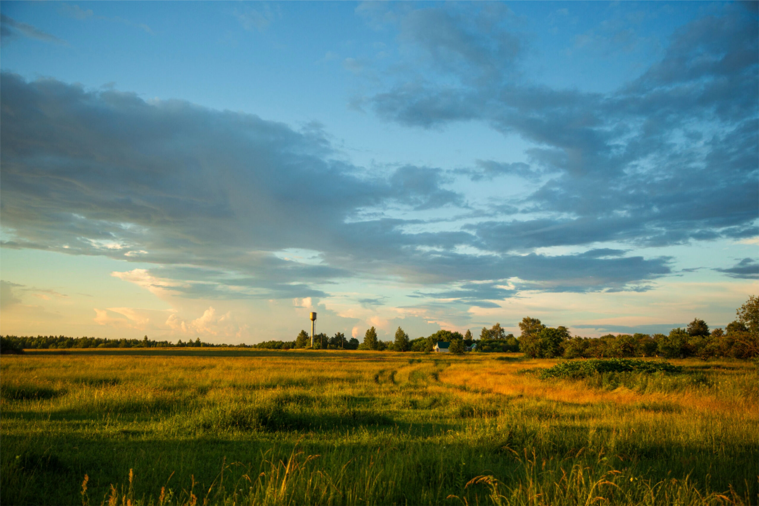 Dramatic Sunset Over a Golden Meadow
