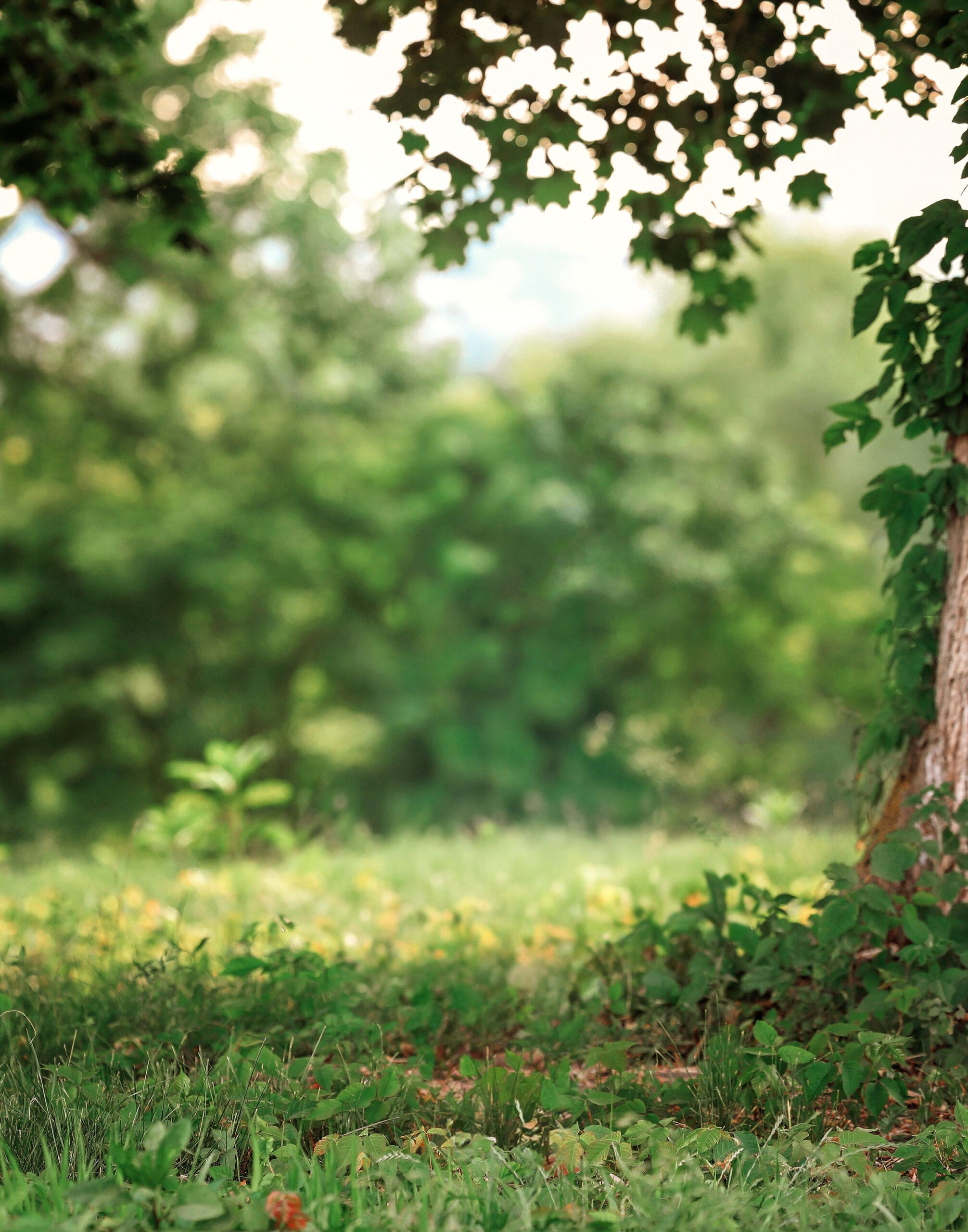 Spring into Style with Digital Backdrops