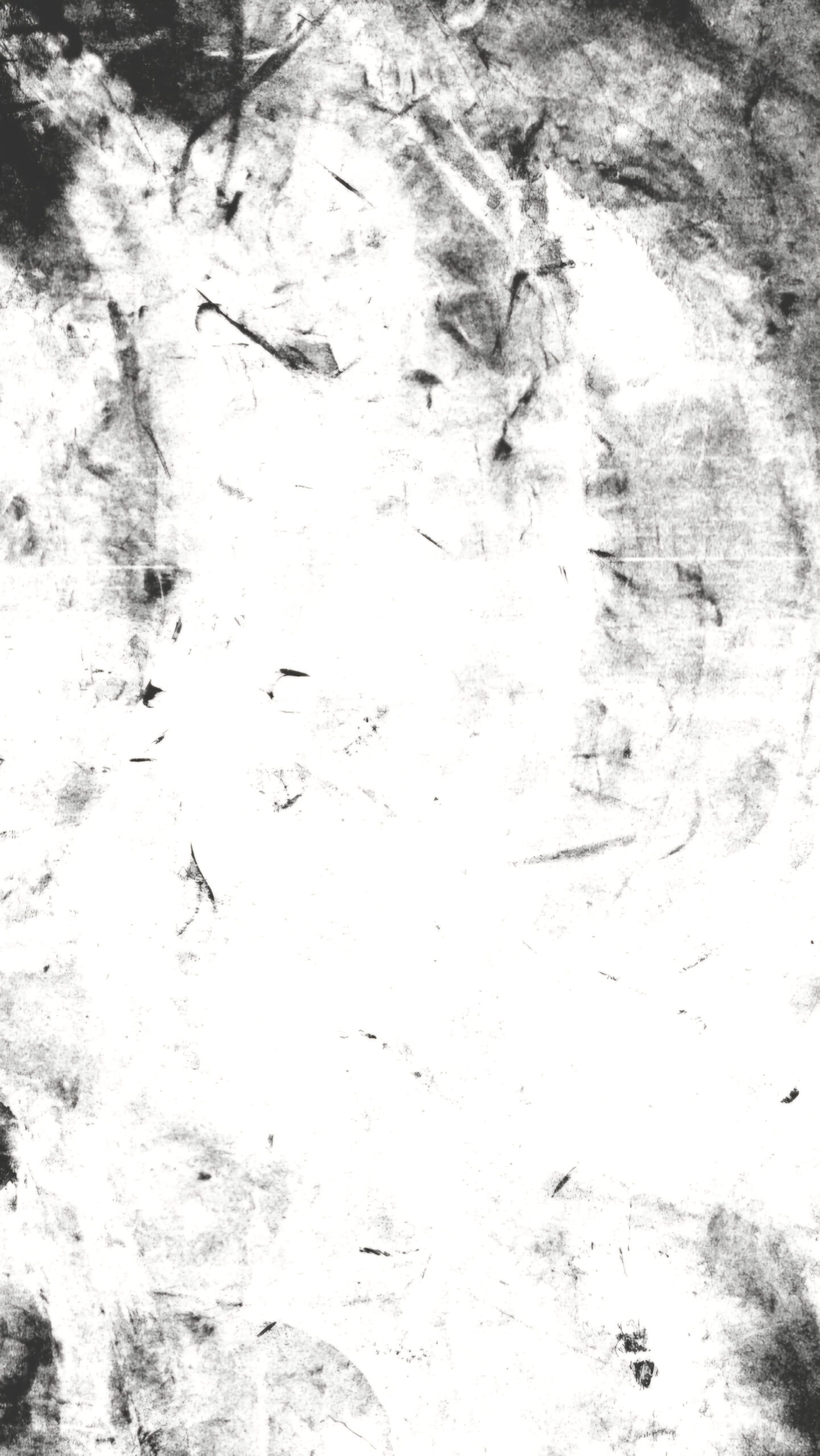 Add Texture Magic to Your Decorating Game