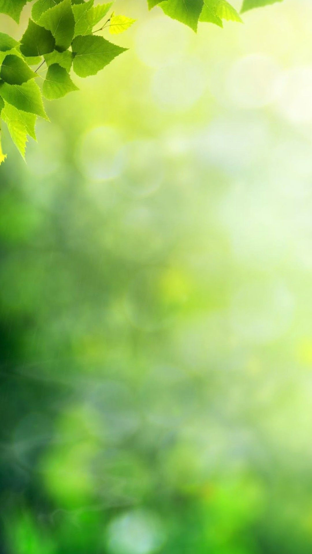 The Mysterious World of Lola