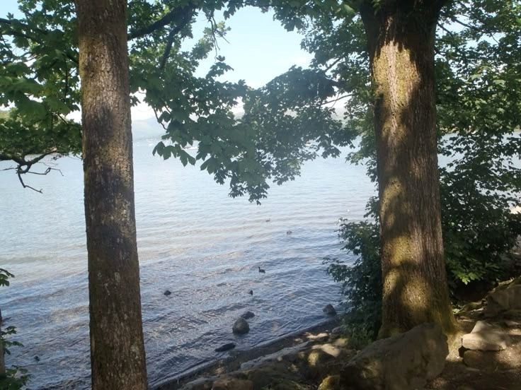 Captivating Lake Moments Forever Caught on Camera