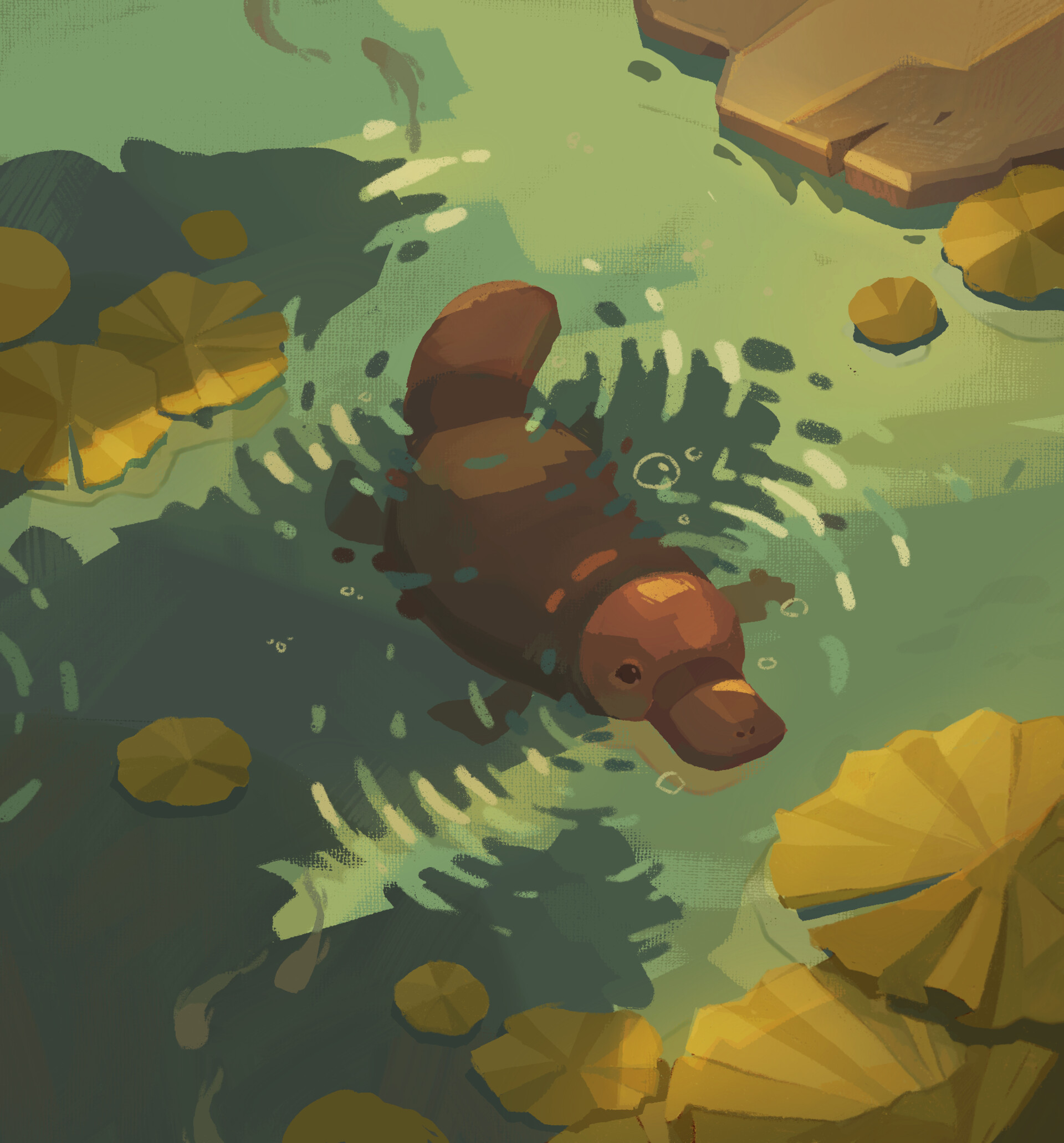 Meet the Platypus of Pond Fame
