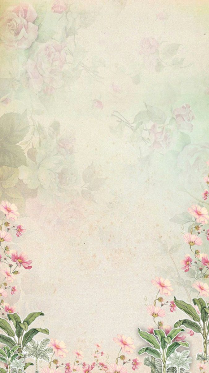 Unlock Your Credit Potential