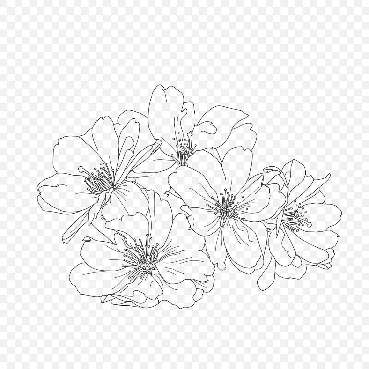 Free Floral Line Art: Beautiful Sketches for Artists