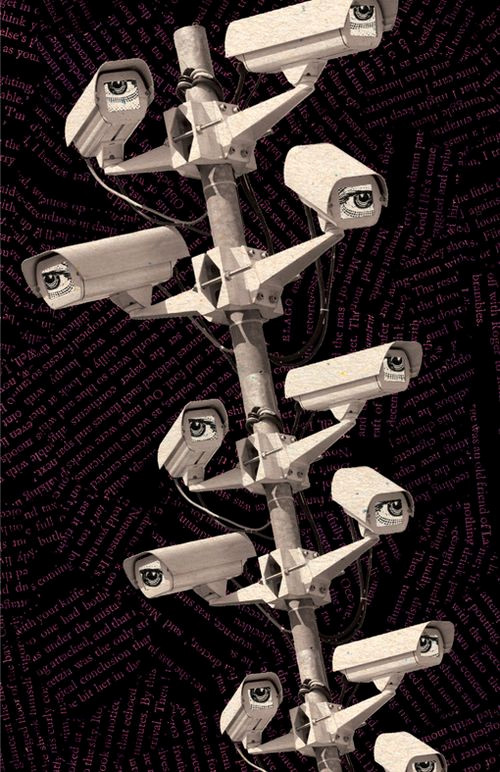 Mystery Gray: The Elusive Color Code