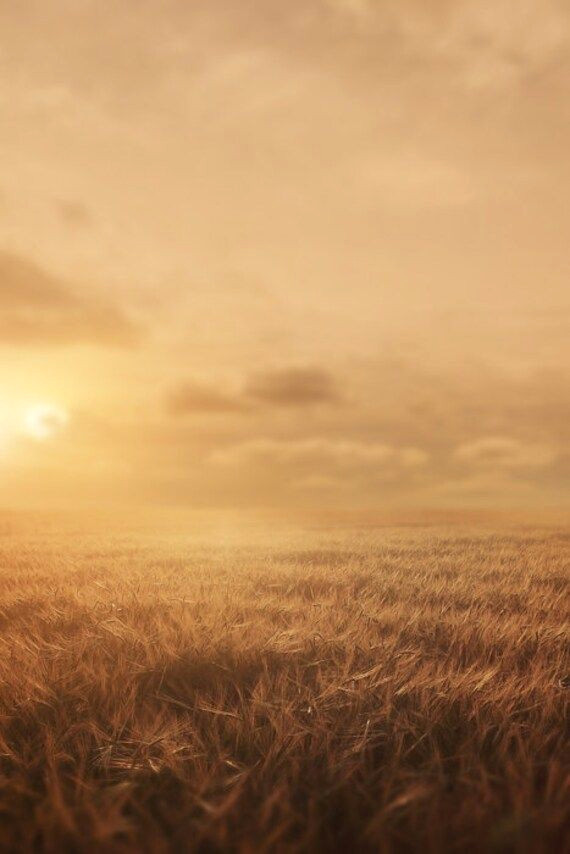 Instant Flower Backdrop: Dreamy Digital Backgrounds (Download Now)