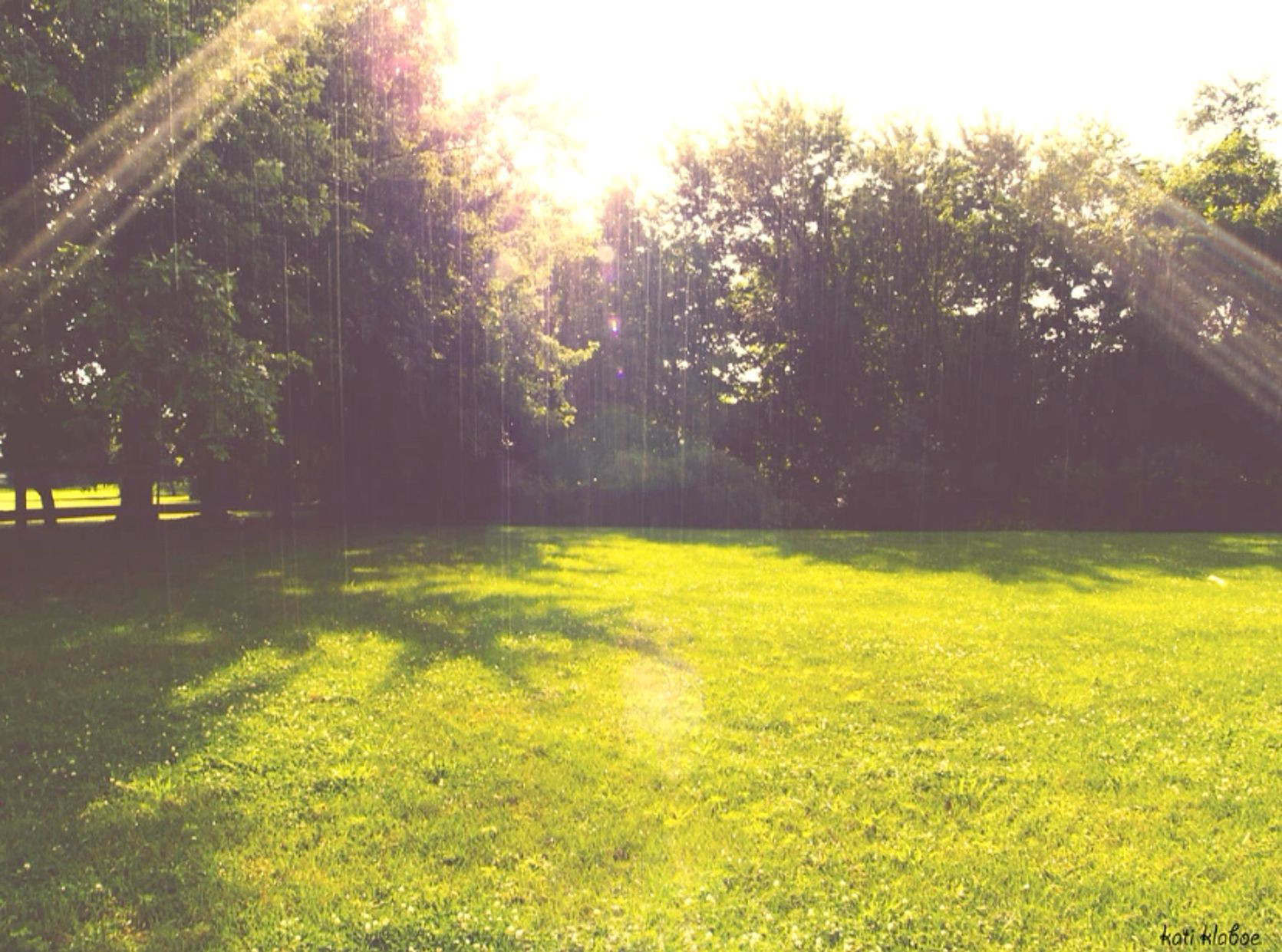 Elegant Home Decor Inspiration