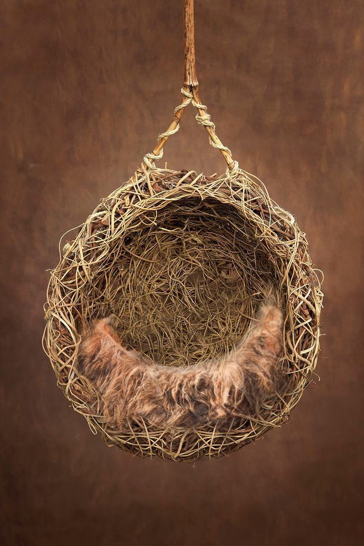 Free Newborn Photo Backdrops for Instant Editing Magic