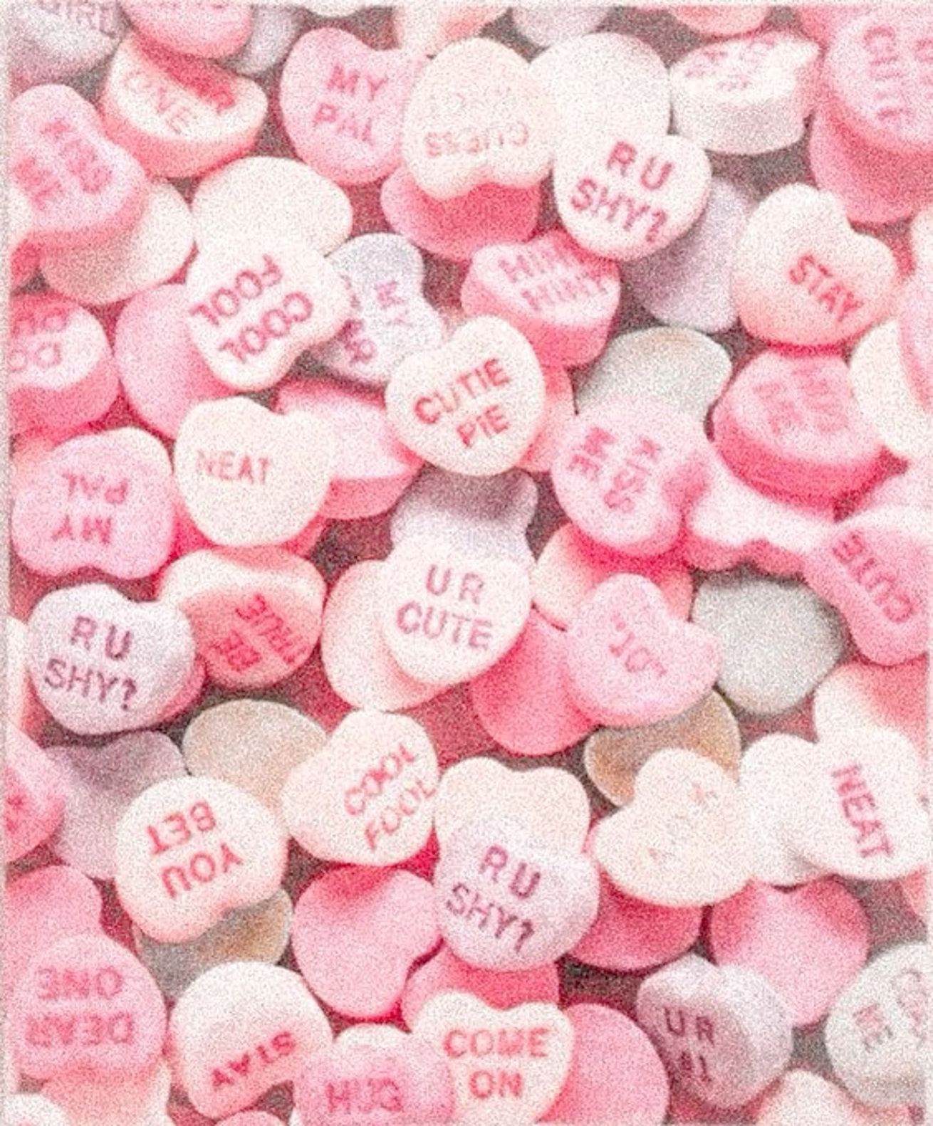 Sweet Moments That Melt Hearts